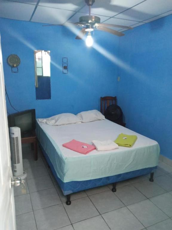 Hostal Casa Pilar マサヤ エクステリア 写真